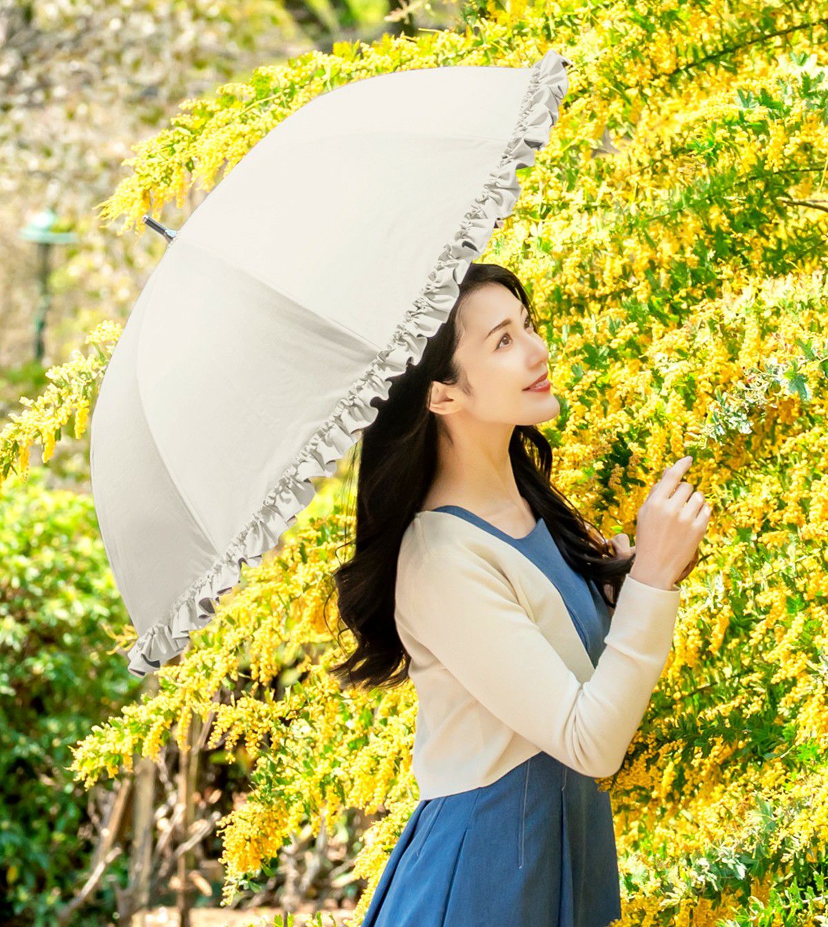 ミドル フリル | 芦屋ロサブラン